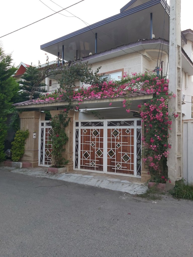 دوخوابه گلها 6