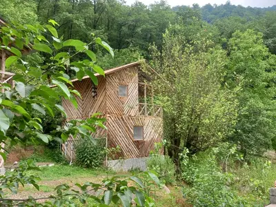 کلبه یک خوابه جنگلی توسکا ۱