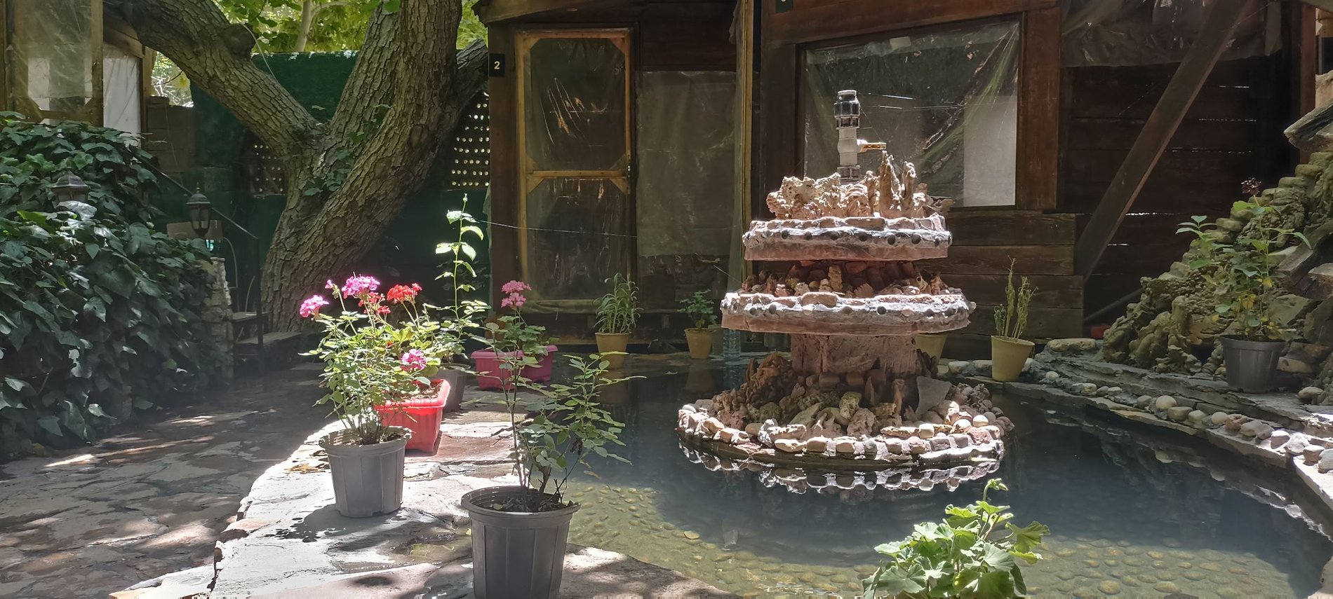 بومگردی قلات - واحد چم چنار