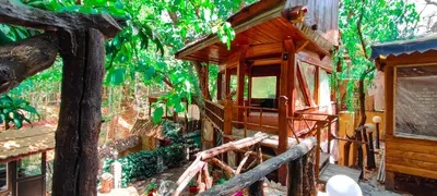 بومگردی جنگلی قلات - واحد چم رود