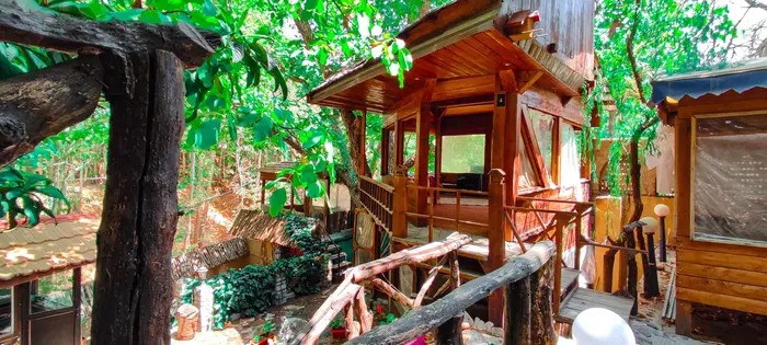 بوم گردی جنگلی قلات - واحد چم رود