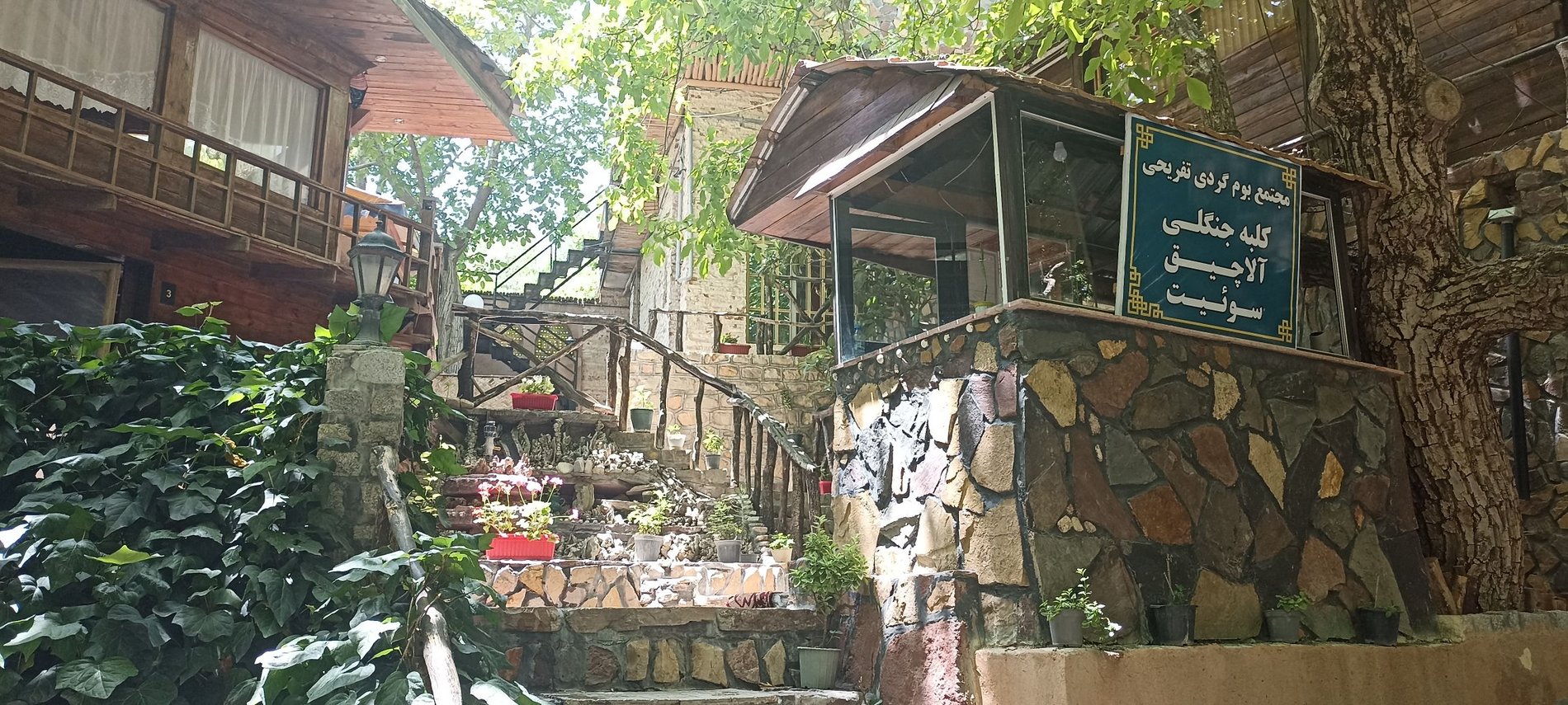 بومگردی جنگلی قلات - واحد چم رود