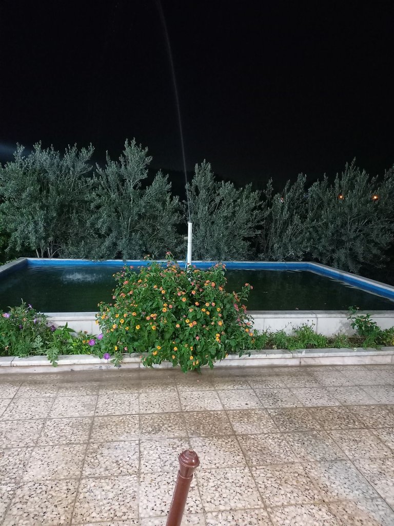 ویلا یک خوابه خانه باغ صفی آباد