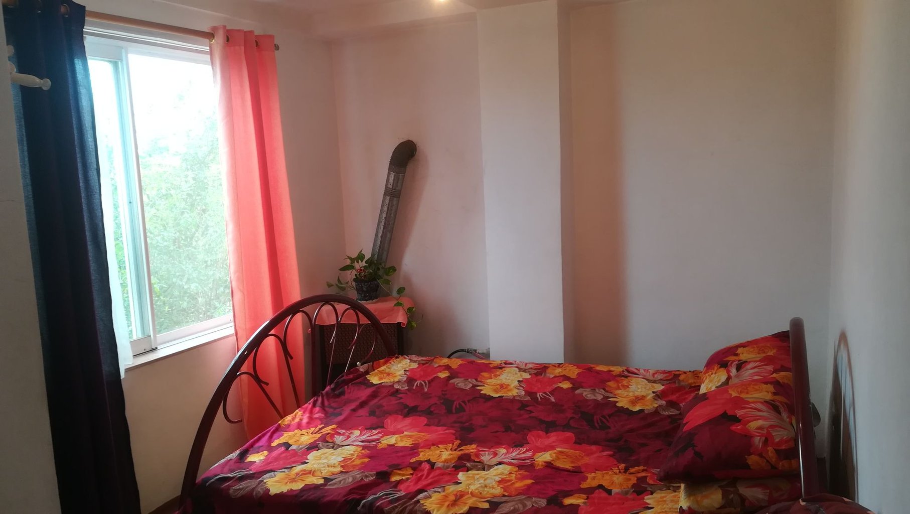 آپارتمان یک خوابه جنگلی جم