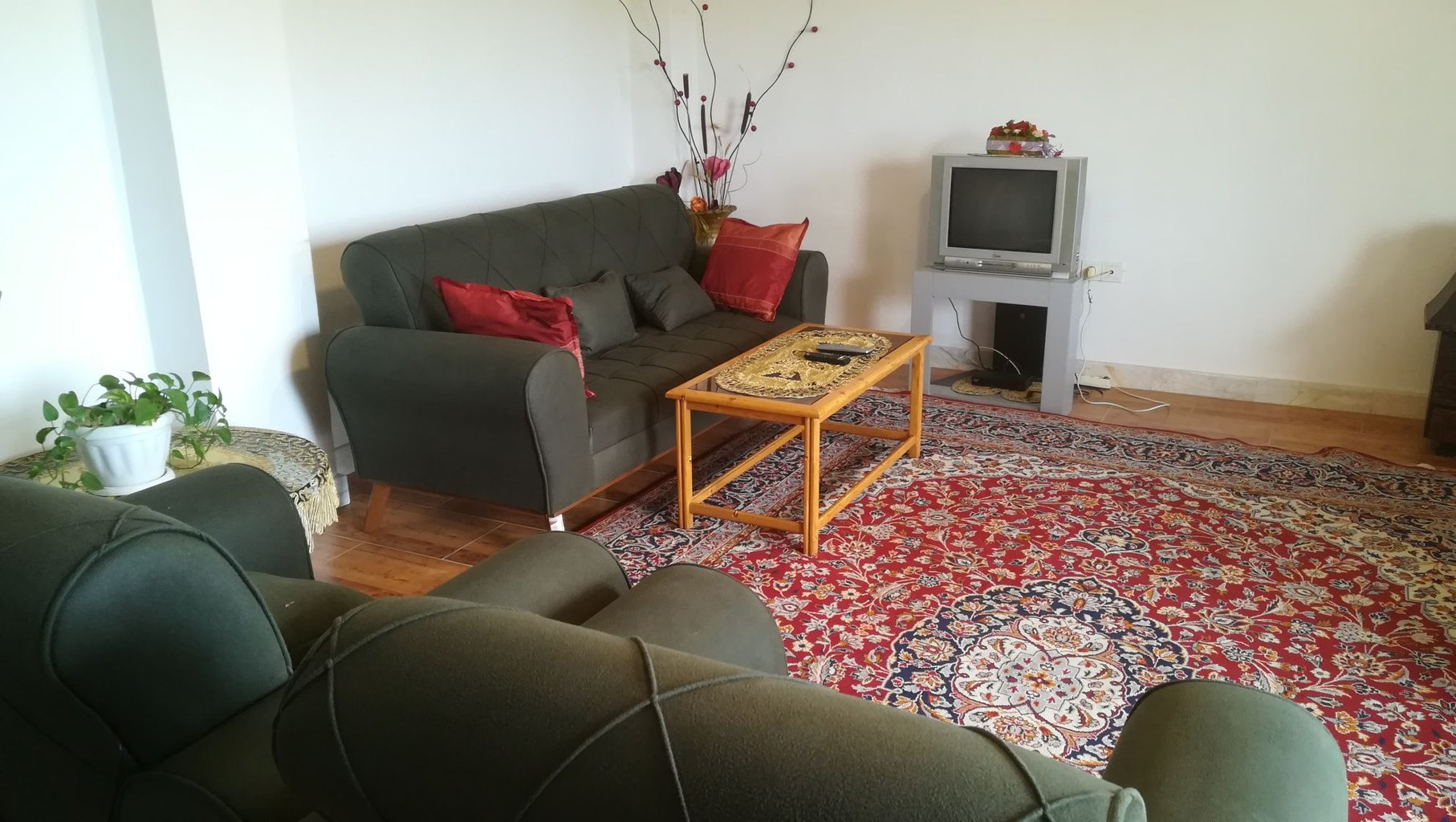 آپارتمان یک خوابه جنگلی جم