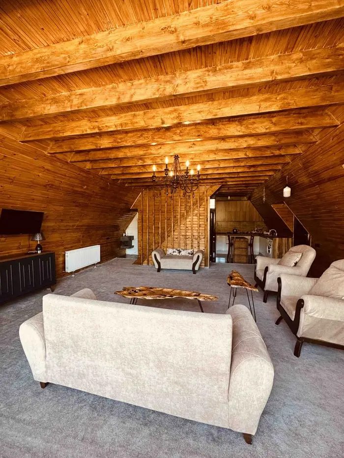 کلبه یک خوابه دوبلکس سوئیسی سرکت - پذیرایی و مبلمان و تی وی