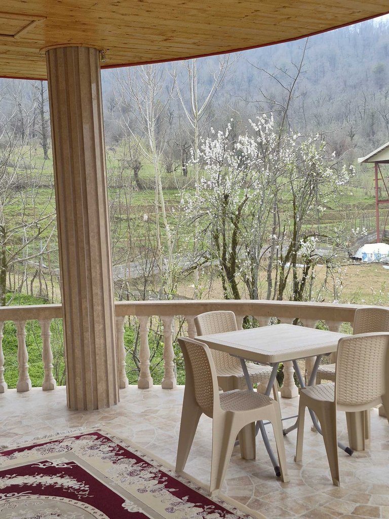 ویلا چهارخوابه جنگلی مهشاد