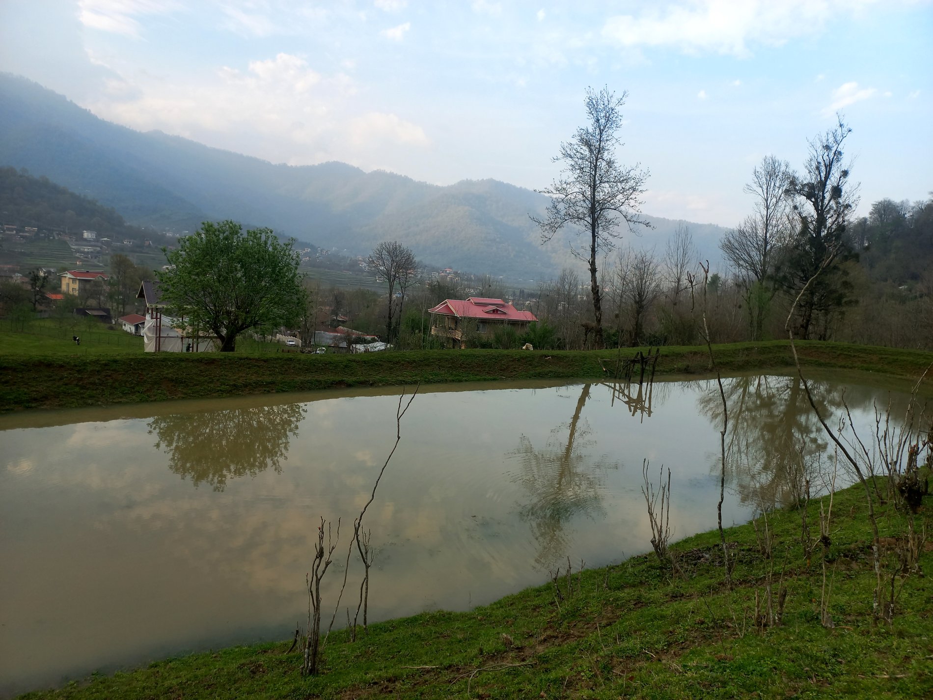 ویلا چهارخوابه جنگلی مهشاد