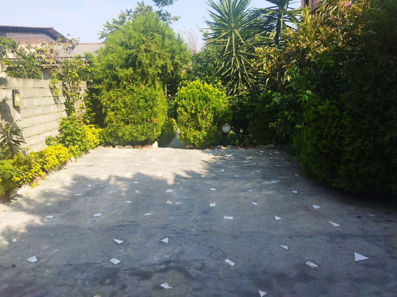 ویلا دربست سامیار - حیاط