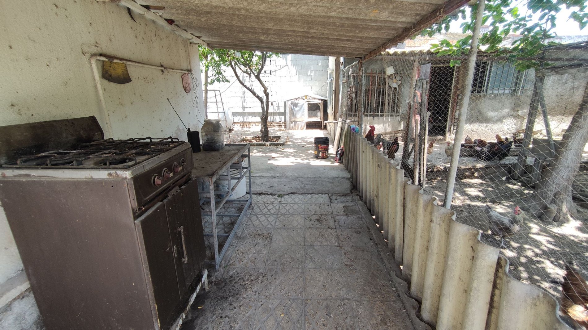 دوخوابه پدرسالار