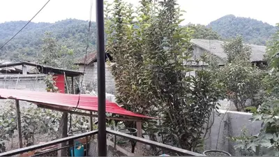 ویلا دوخوابه جنگلی کاوه 1