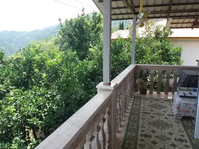 ویلا یک خوابه جنگلسرا