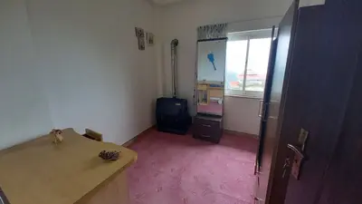 ویلا یک خوابه جنگلسرا