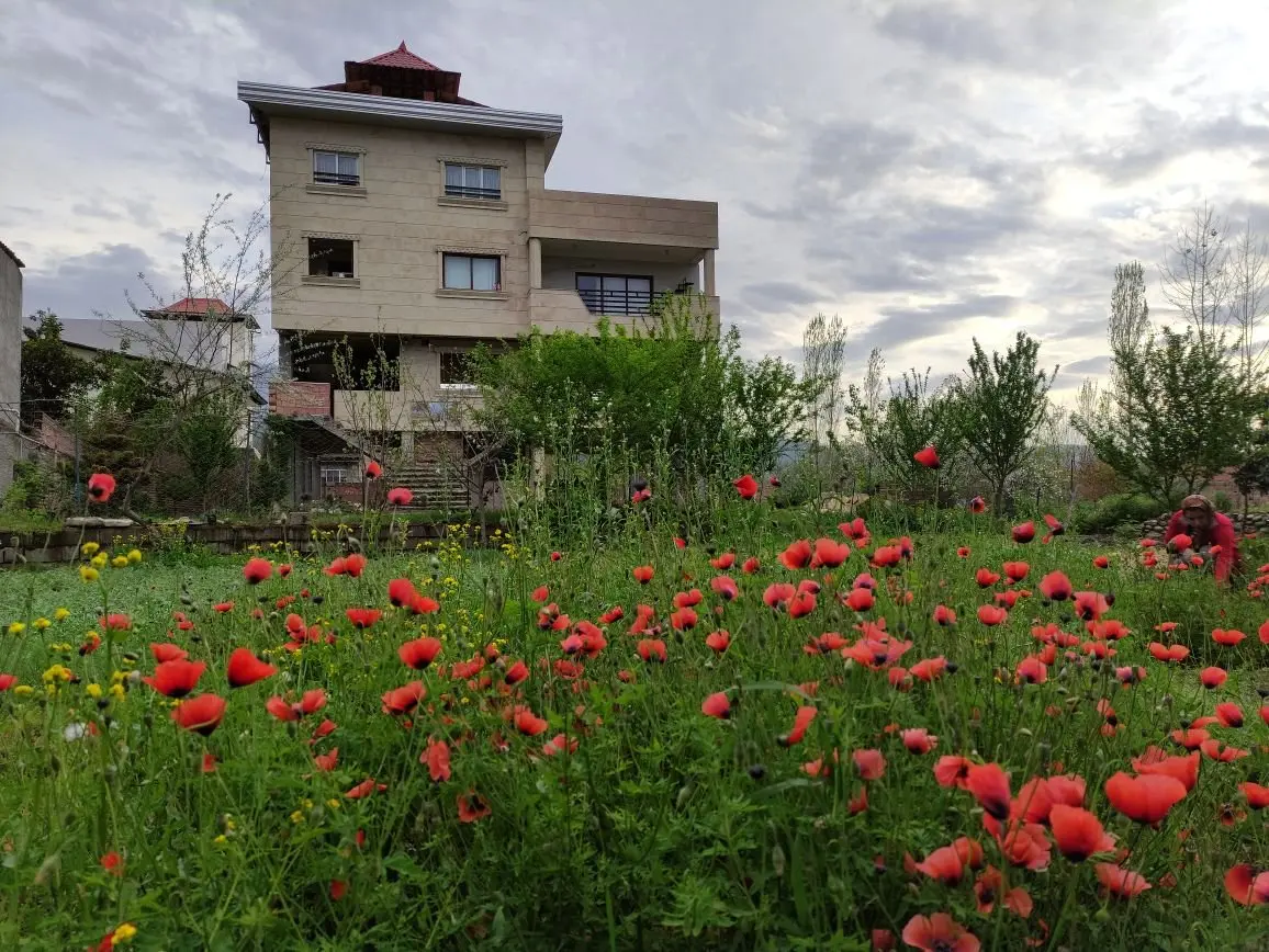 سوئیت فلت خورشیدکلا - باغچه و ویلا