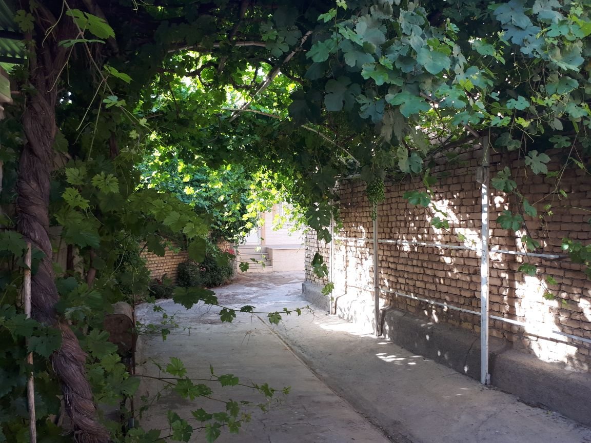 یک خوابه تشنیز