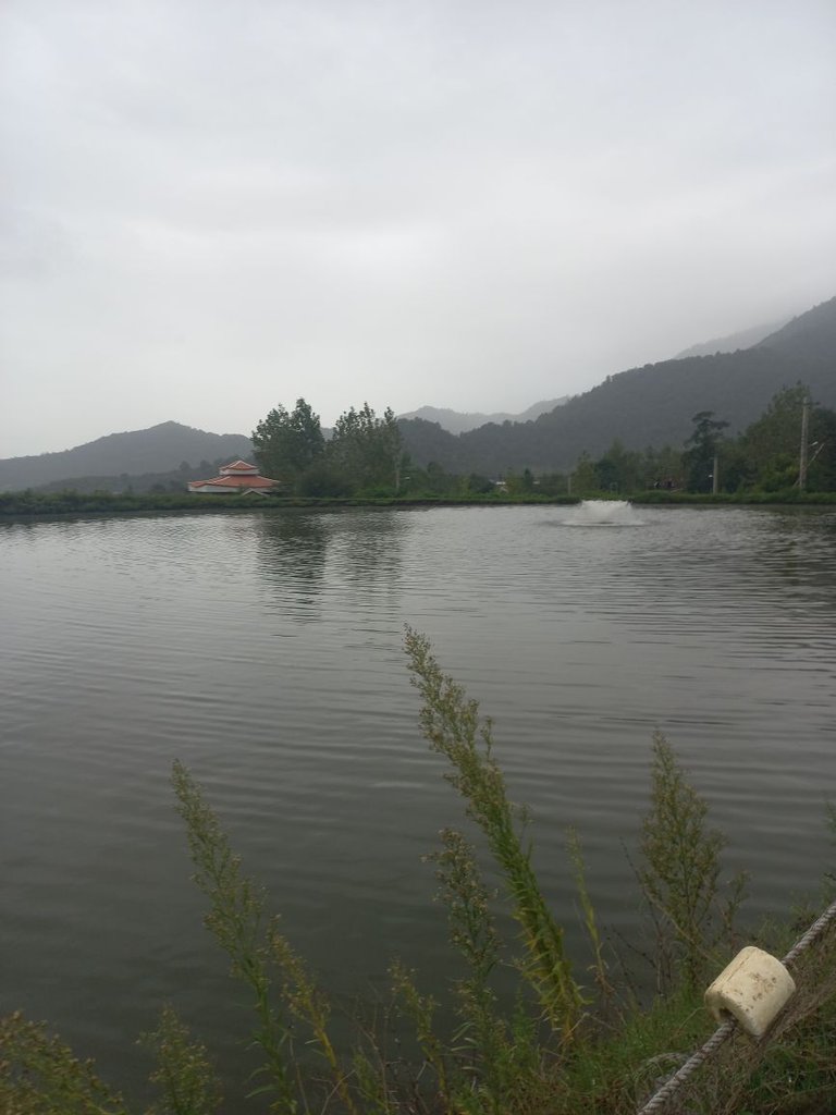 یک خوابه جنگلی کوروش 1