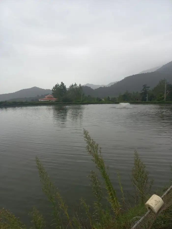 کلبه یک خوابه جنگلی کوروش 1