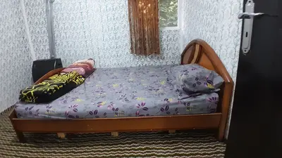 کلبه یک خوابه چوبی جنگلی باران