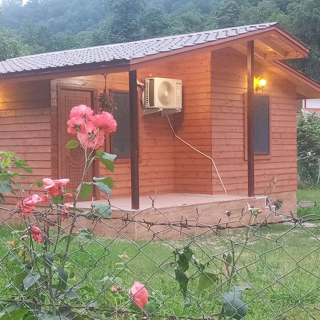 دوخوابه جنگلی جاوید - نمای ورودی و حیاط