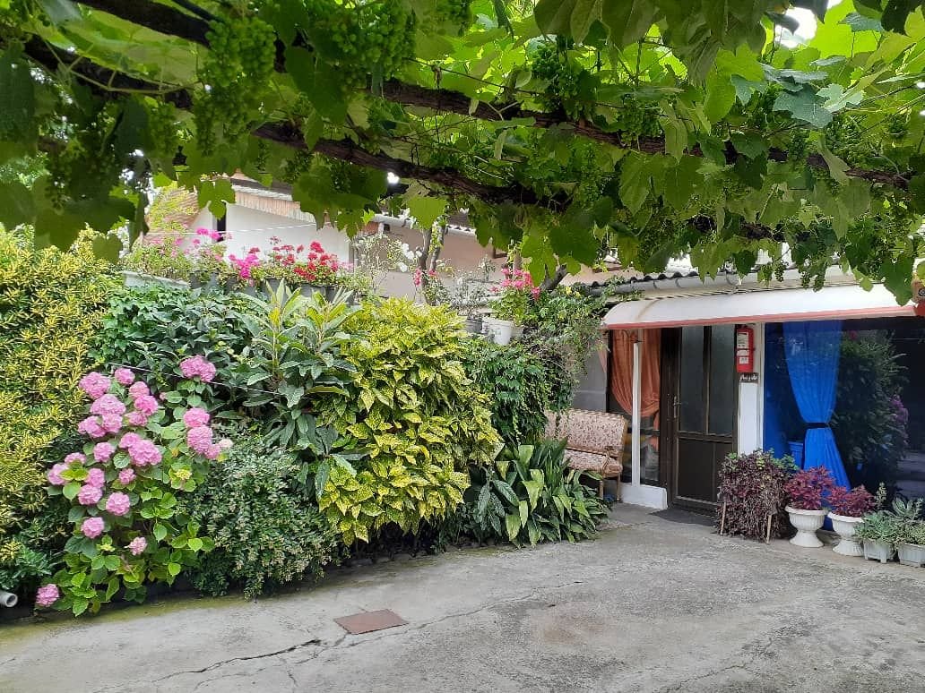 سوئیت یک خوابه ساحلی خانه ی سبز