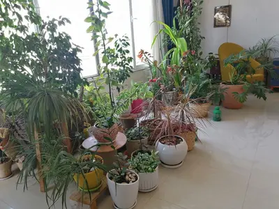 آپارتمان یک خوابه خانه گلها چمران