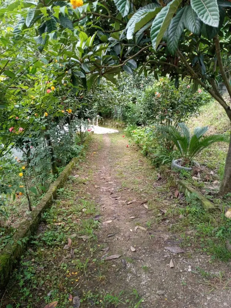 اقامتگاه سنتی فلت آرتان