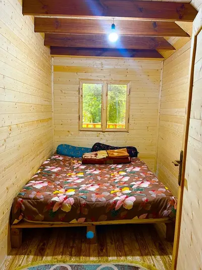 کلبه فلت جنگلی امامکلا