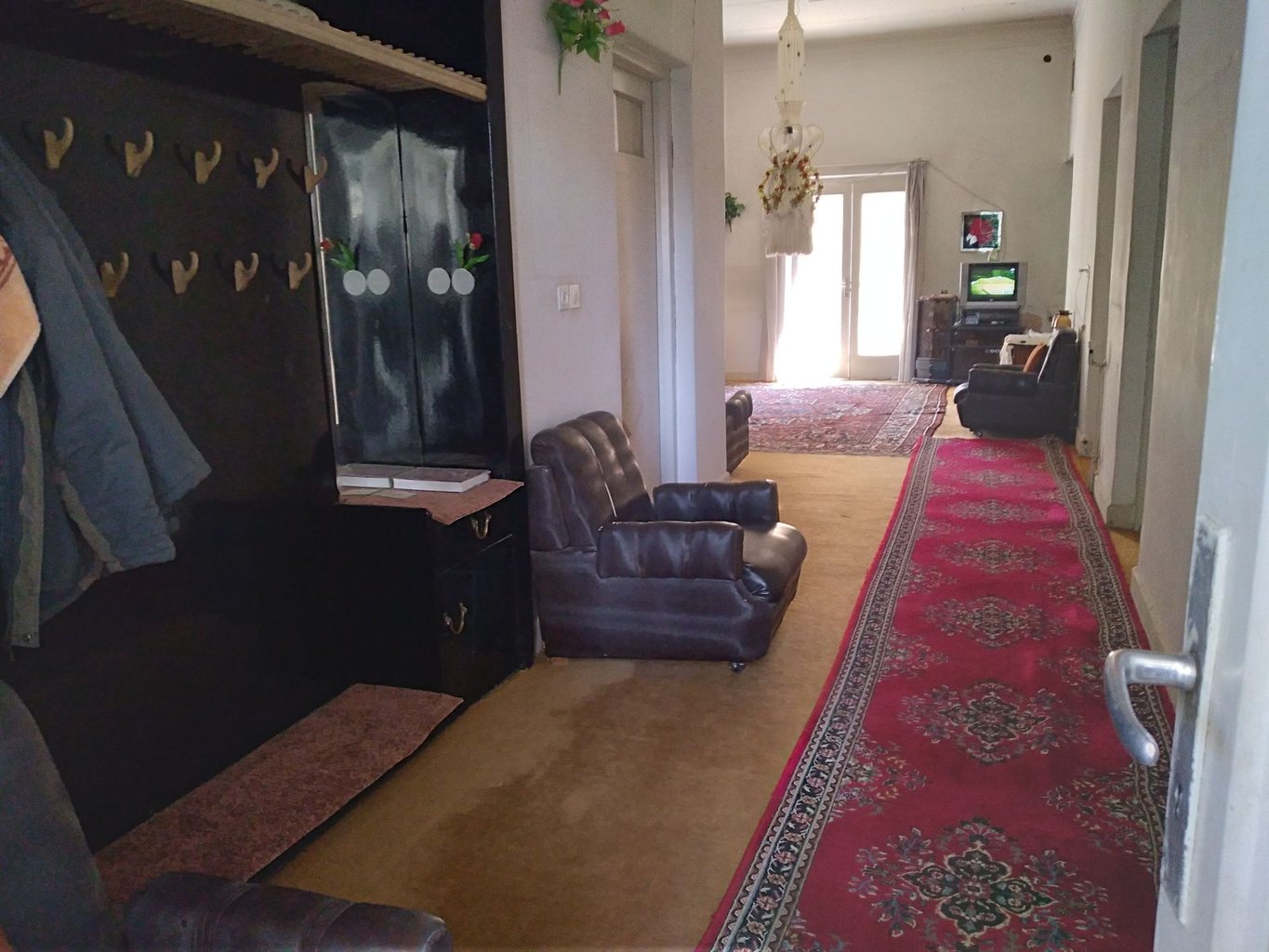 هانی - واحد شقایق