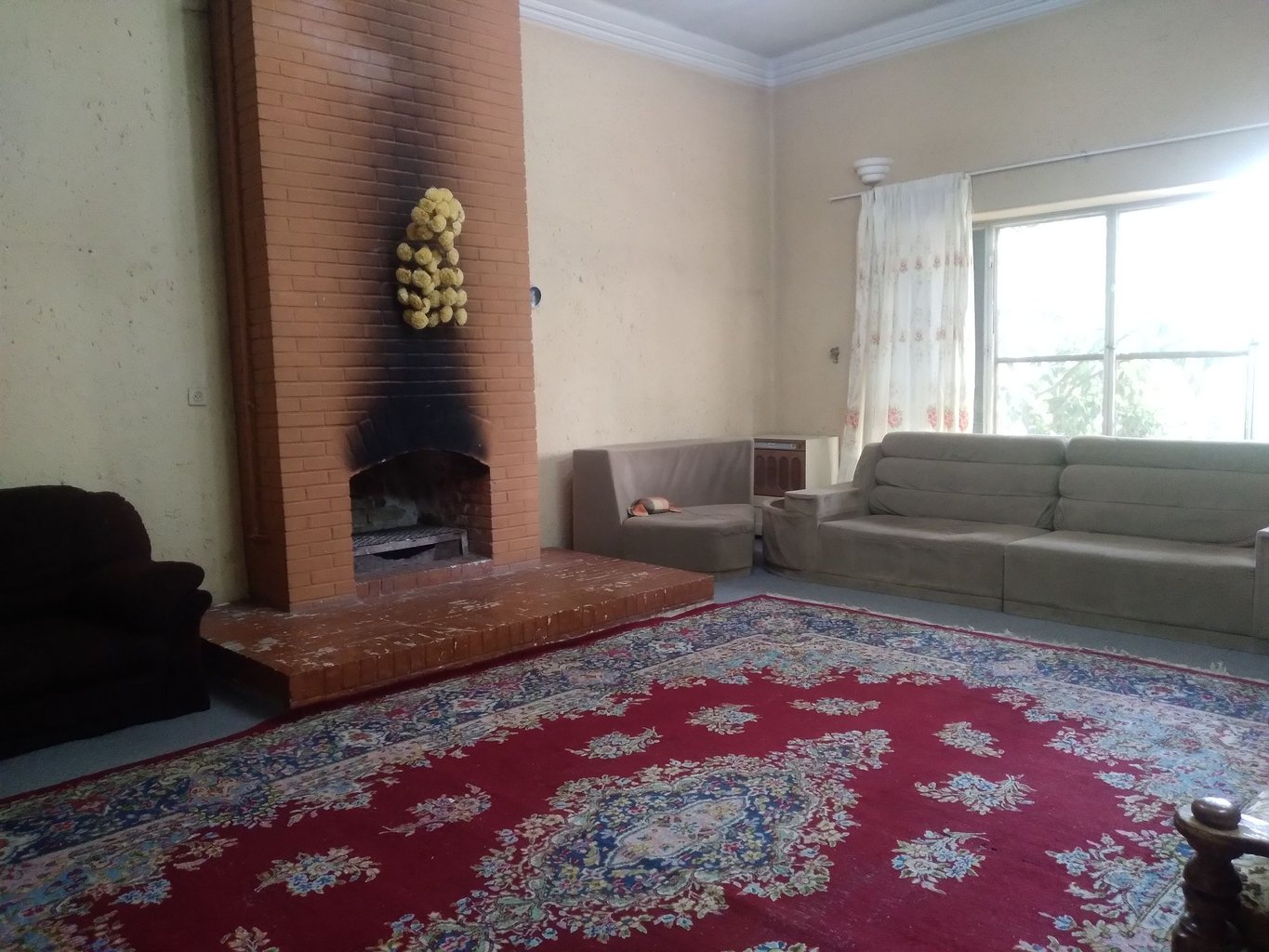 هانی - واحد شقایق