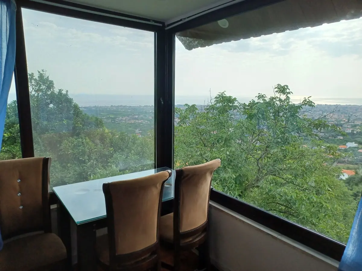 کلبه یک خوابه ولسیالم پتک - میز ناهارخوری 