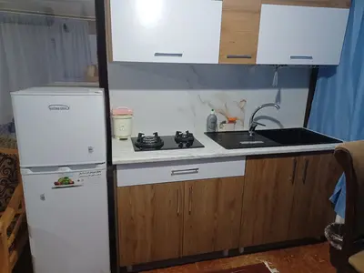 کلبه یک خوابه ولسیالم پتک