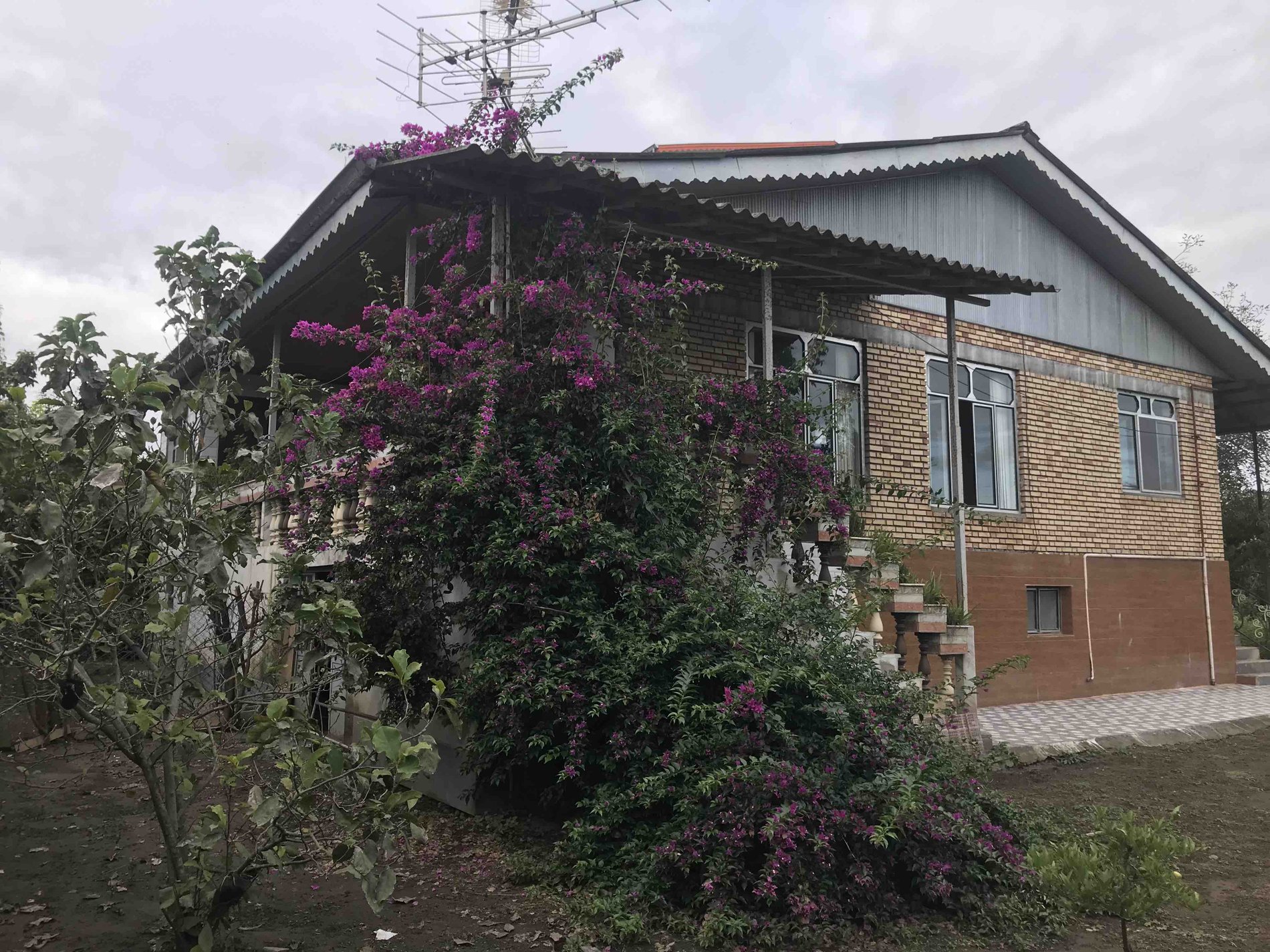 ویلا سه خوابه جنگلی فرهنگ