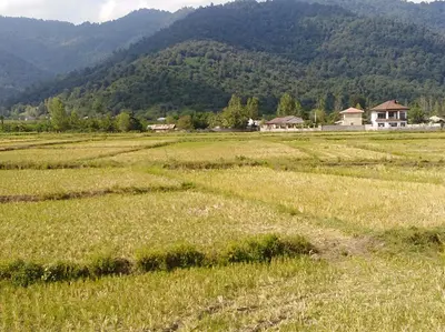 سوئیت یک خوابه فرزین 3