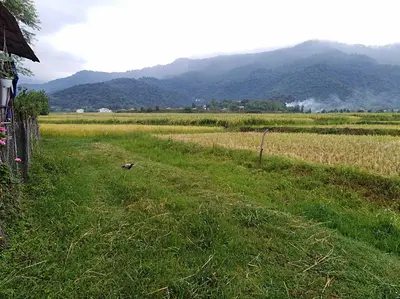 سوئیت یک خوابه فرزین 3