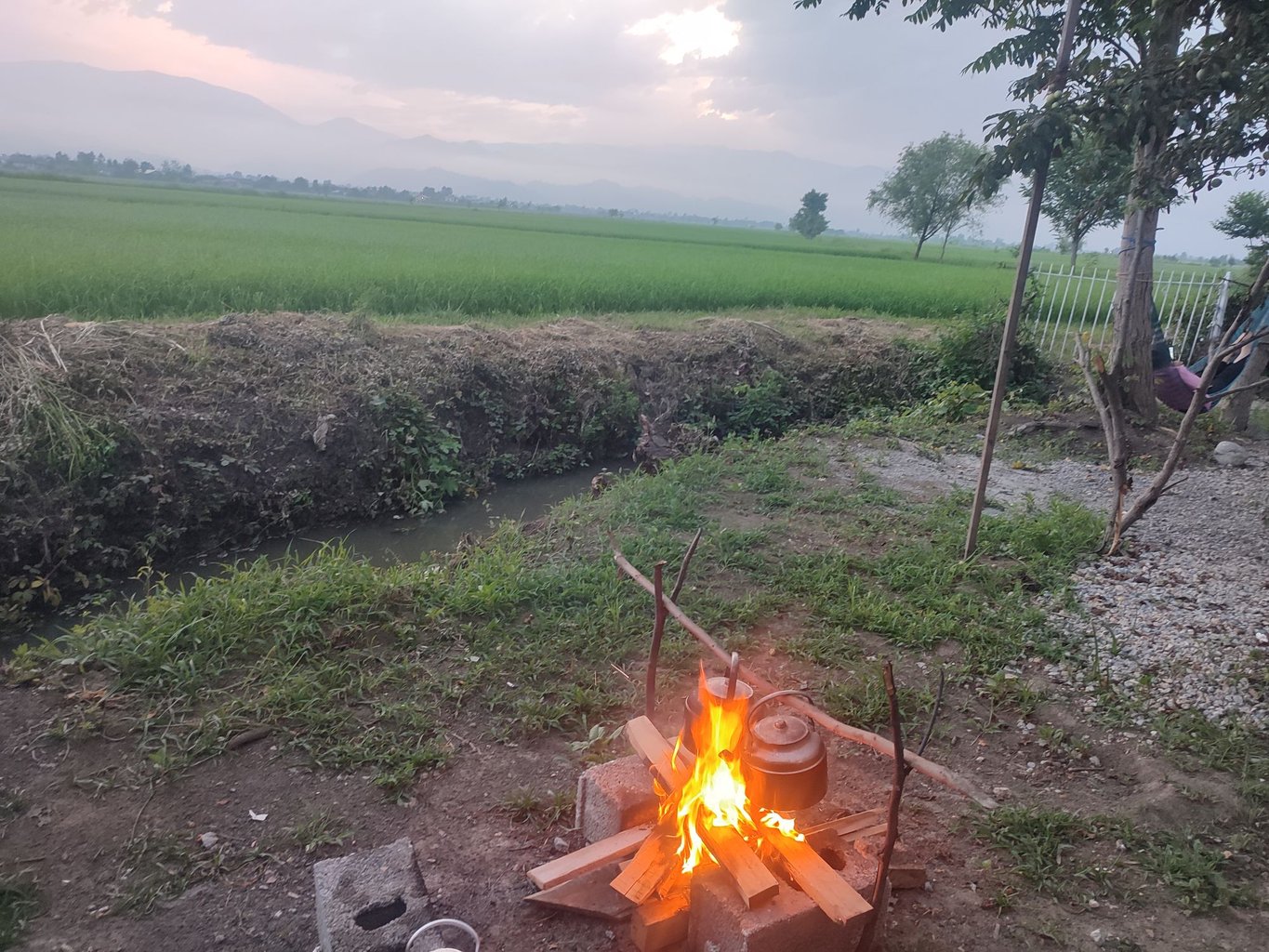 بومگردی گیلان دخت - واحد سه دریا