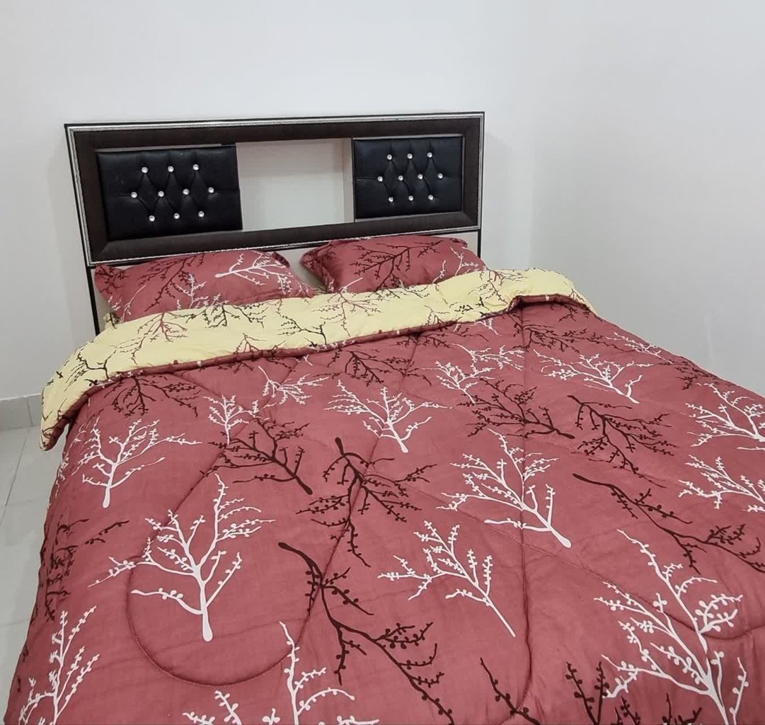 دوخوابه عباسی 1