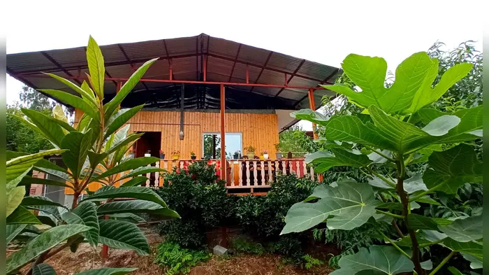 کلبه یک خوابه شمعدونی