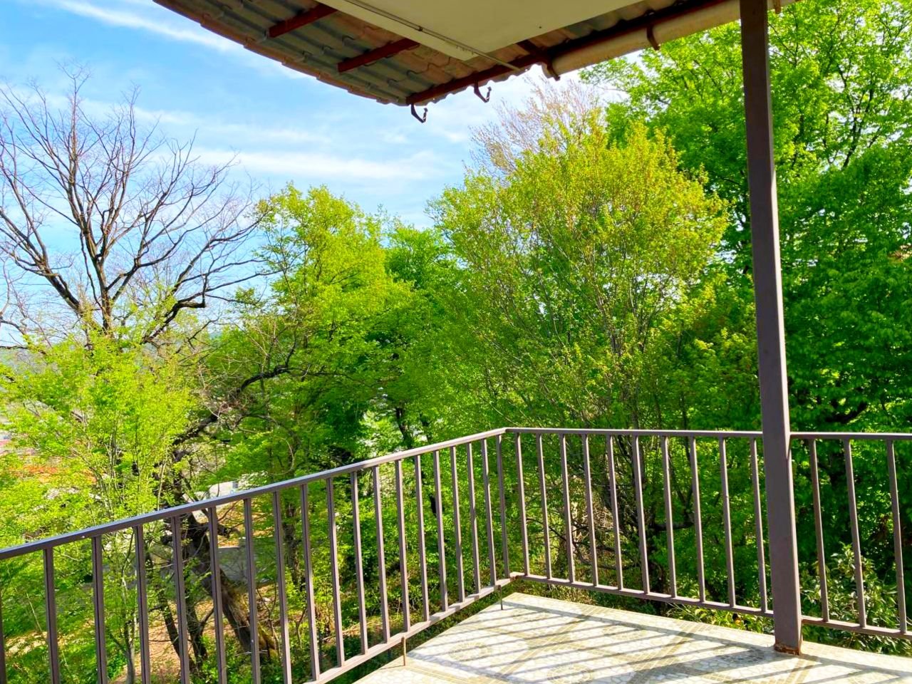 ویلا دوخوابه دنج سبز