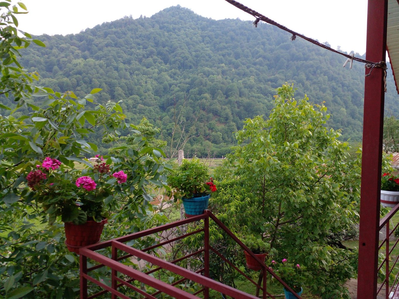 دوخوابه نرگس 2