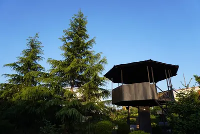 بومگردی دیم - واحد قلعه 2