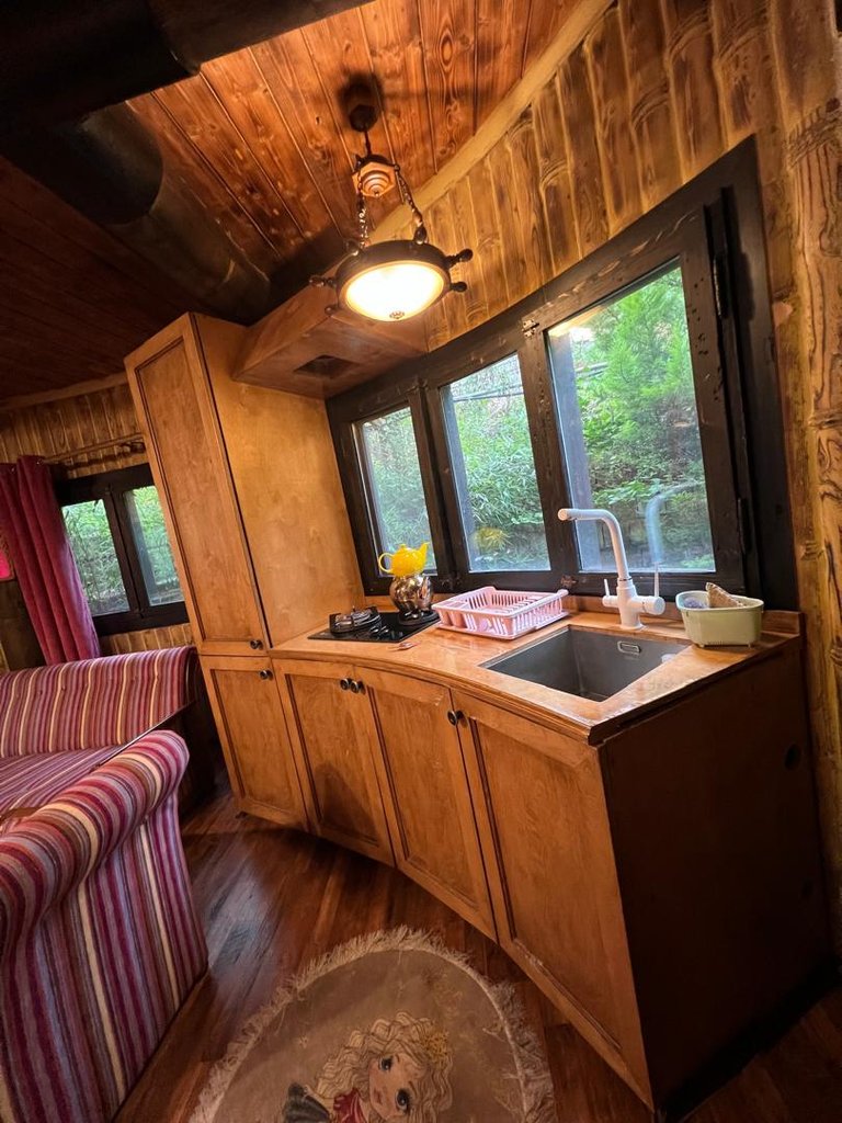 یک خوابه خونه سبز