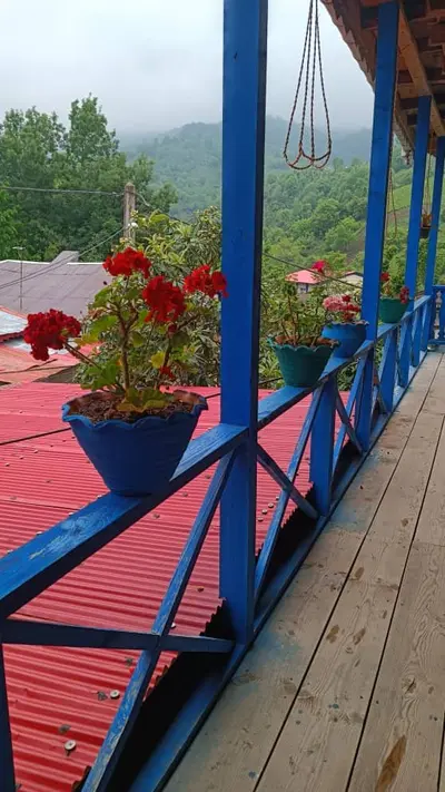 بومگردی گوهران - واحد زگال