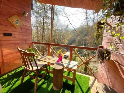 بومگردی کوکه - واحد کلبه چوبی