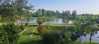 ویلا دوخوابه مزرعه یکتا