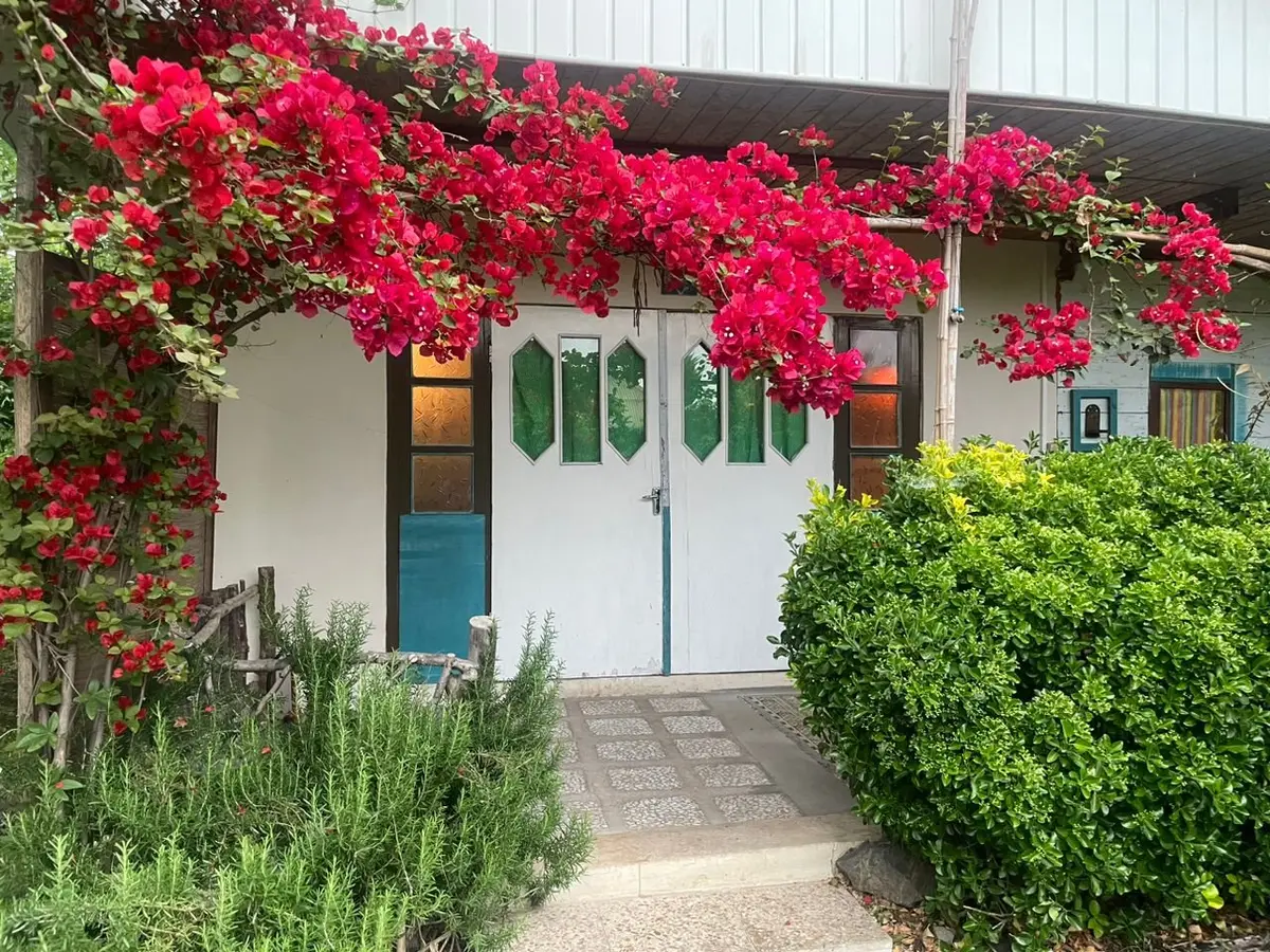 مریم گلی - واحد برکه