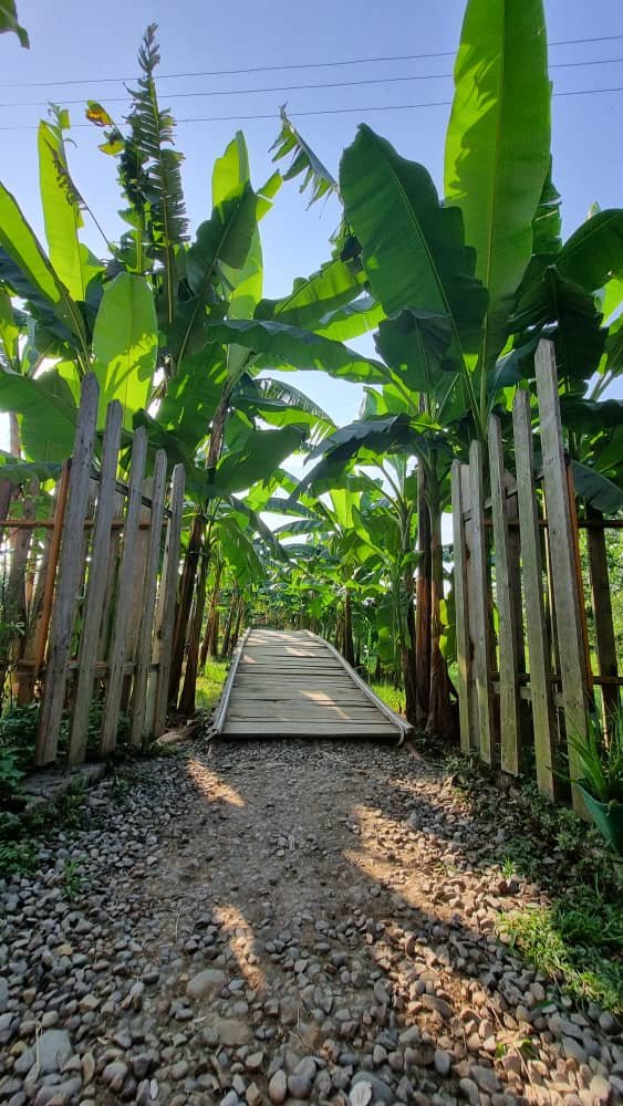 بومگردی باغ ريحان - كلبه درفك