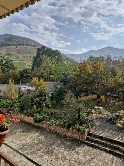 بومگردی پرچین نومل - واحد پنج افرا