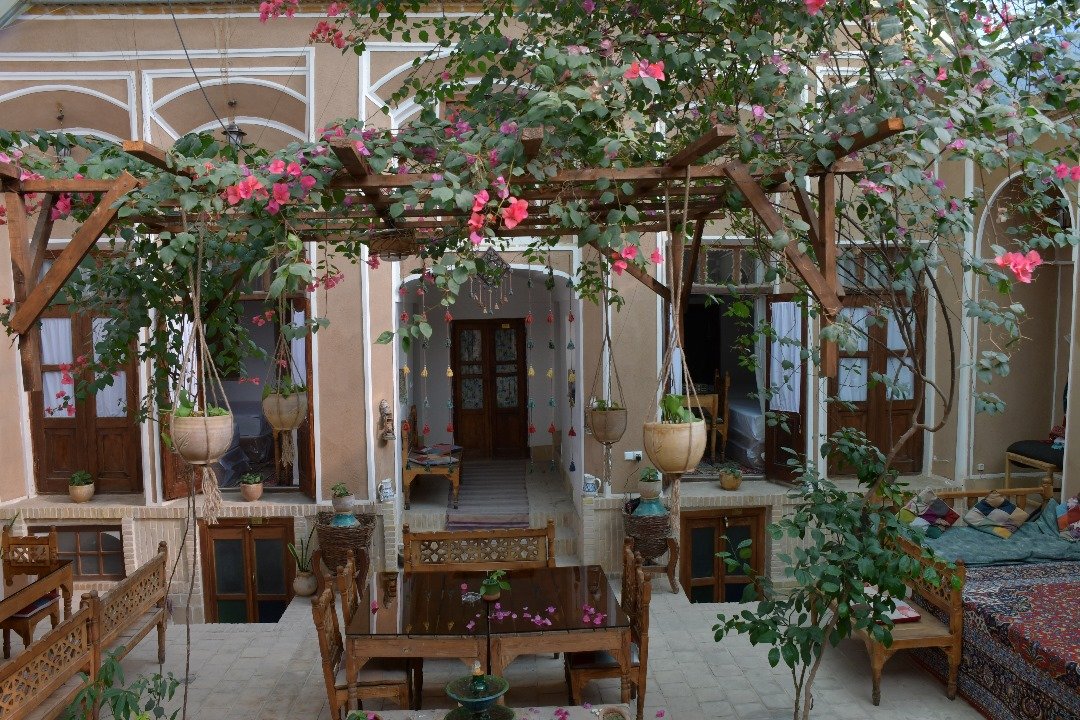 بومگردی الهه - واحد بنفشه