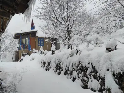 کلبه یک خوابه زرین جواهرده