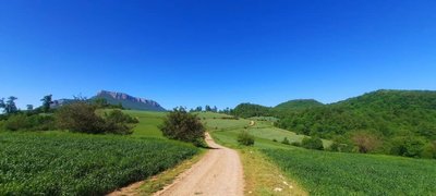 ویلا بارانک - واحد 8